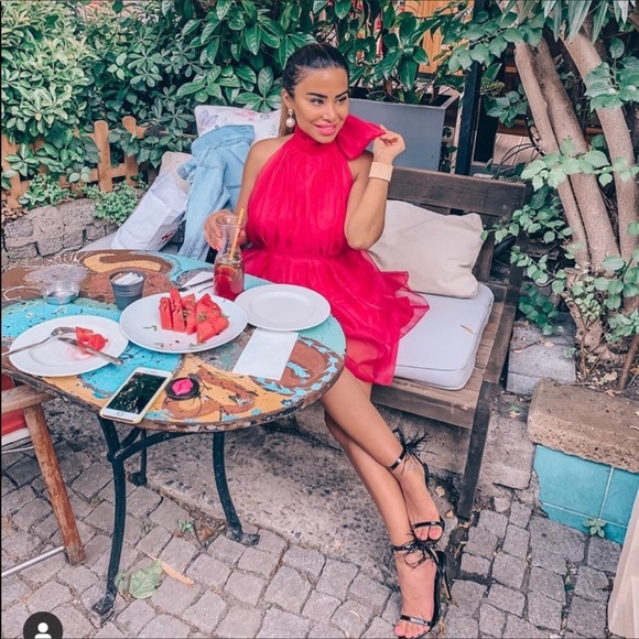 LAST 1️⃣-NWT Zara Mini Organza Dress - Picture 8 of 15